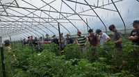 #SJPService: Wheeling, WV (June 2025)